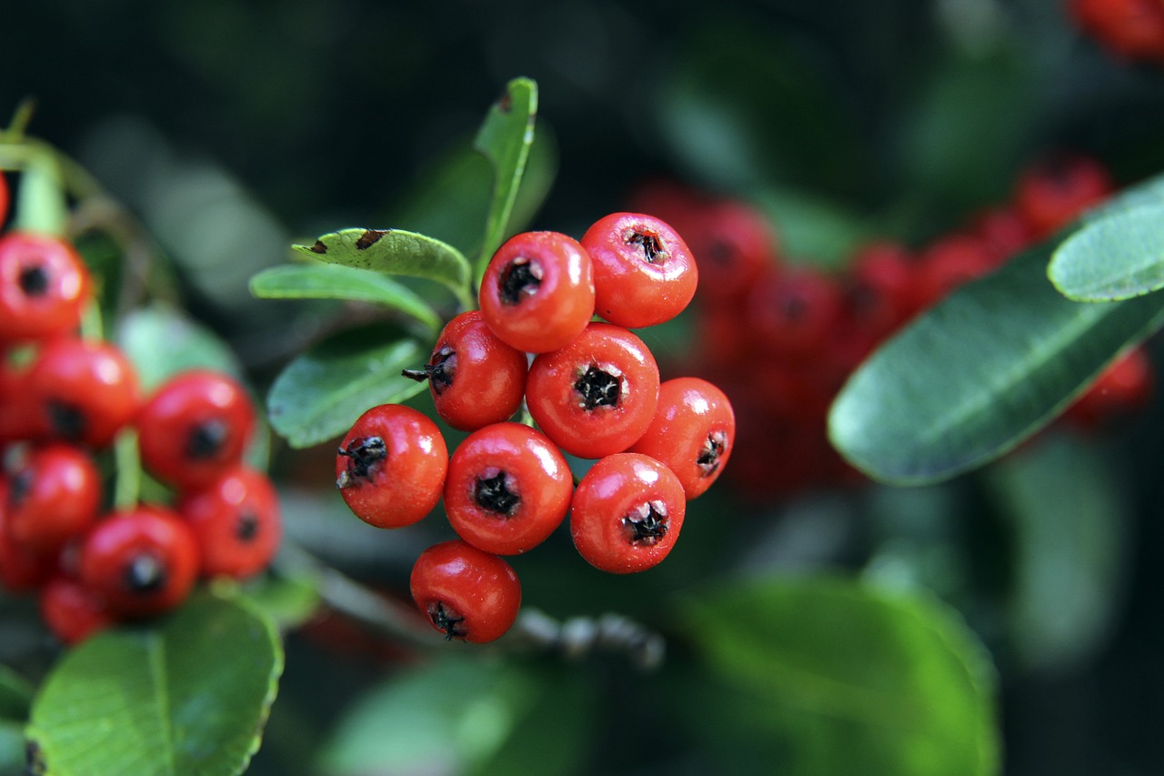 財務問題都 財務問題都