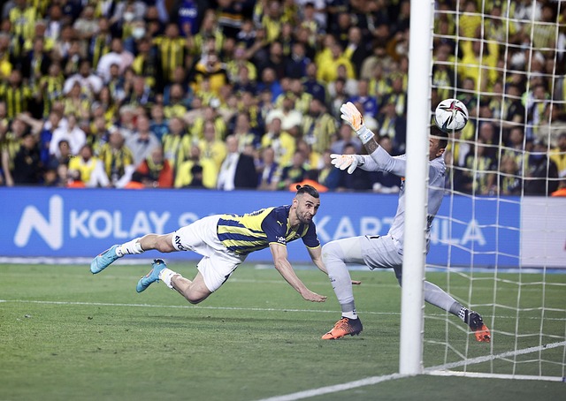 还极有可能 还极有可能