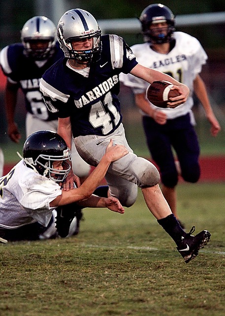 多样性的思 多样性的思