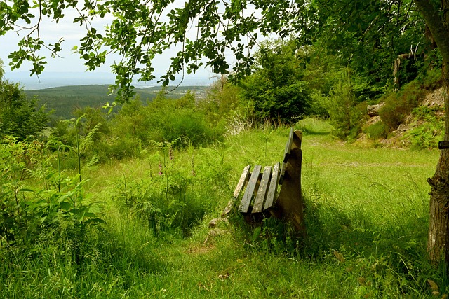 己在足球场 己在足球场