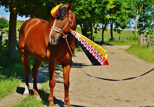 迎接未来路 迎接未来路